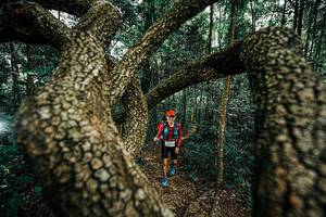 BIB: 
                            <button type="button" onclick="openModal(25393960)" class="btn btn-primary btn-sm float-right btn-popup" data-toggle="modal" data-target=".modal-high-quality">
                        <i class="fas fa-shopping-cart"></i> Add to Cart
                    </button>
                                            <button type="button" onclick="isThisMe(25393960, true)" class="btn btn-success btn-sm float-right btn-popup btn-isme hidden" data-toggle="tooltip" data-placement="bottom" title="นี่คือรูปของคุณใช่ไหม คลิกที่นี่เพื่อเอาเข้าอัลบั้ม">
                        <i class="fas fa-plus"></i> Add to album
                    </button>
                    <button type="button" onclick="isThisMe(25393960, false)" class="btn btn-warning btn-sm float-right btn-popup btn-isnotme hidden">
                        <i class="fas fa-ban"></i> Remove from album
                    </button>